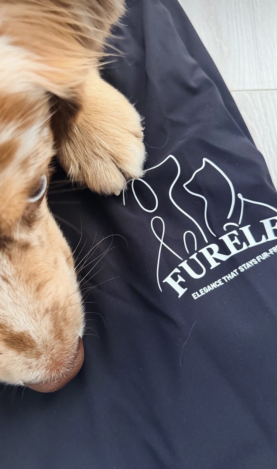 Laura ja Austraalia lambakoer Furele särgiga